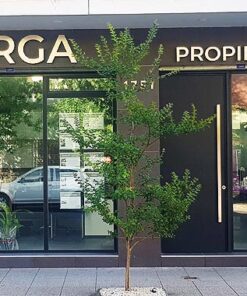Burga Propiedades