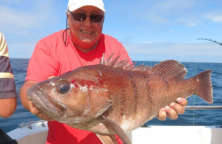 Aquafish – Pesca Deportiva