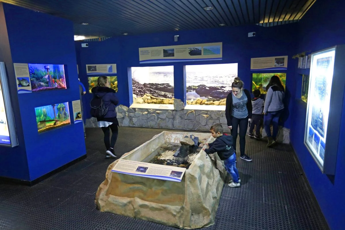 Museo de Ciencias Naturales