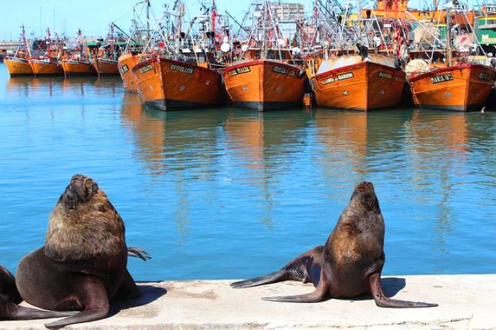 Reserva de Lobos Marinos