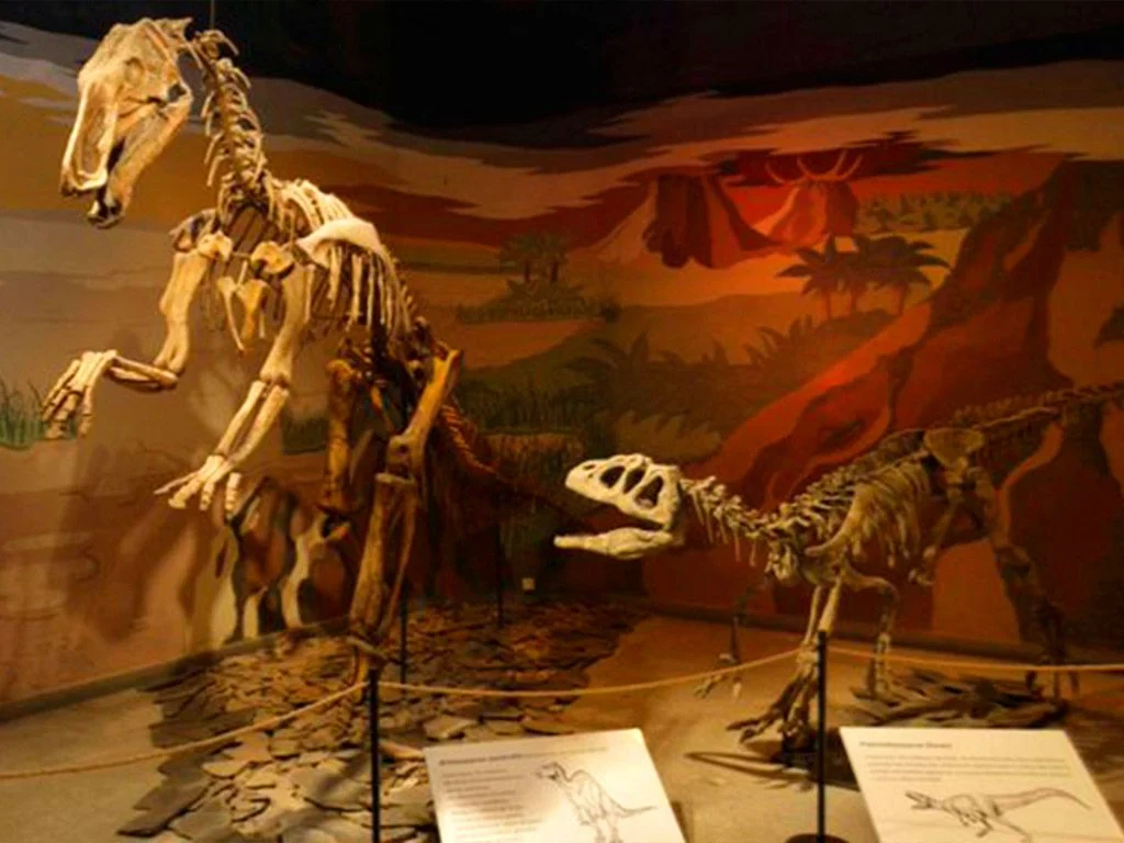 Museo Municipal de Ciencias Naturales «Lorenzo Scaglia»