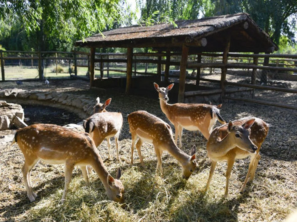 Zoológico «El Paraiso»
