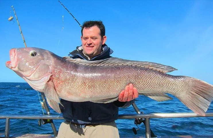 Pesca Deportiva