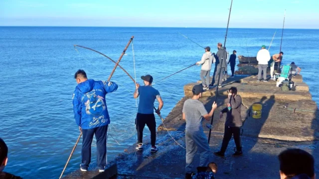 Pesca desde la costa