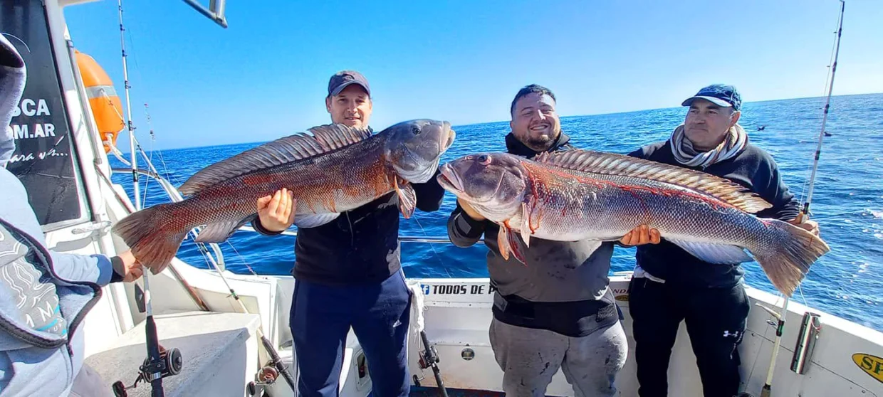 Pesca embarcado