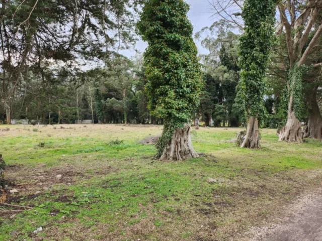 Lotes y terrenos en Venta — Los Quebrachos