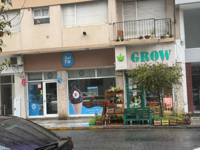 Locales en Venta — Alberti 2208