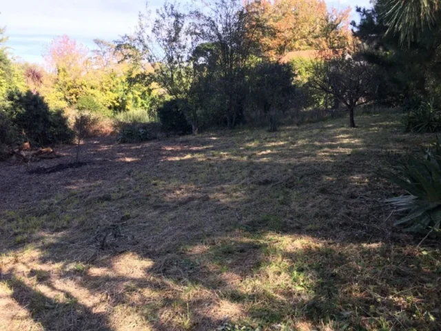 Lotes y terrenos en Venta — C. Ricardo 11