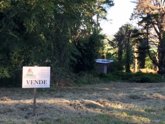 Lotes y terrenos en Venta — Armando