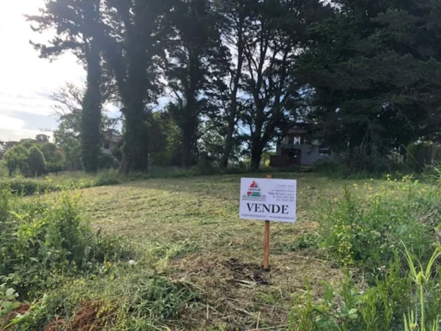 Lotes y terrenos en Venta — Leticia