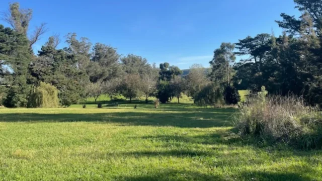 Lotes y terrenos en Venta — 453H+G5 Barrio Colinas Verdes