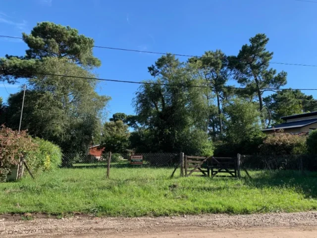 Lotes y terrenos en Venta — Noemi
