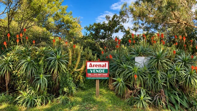 Lotes y terrenos en Venta — Natividad