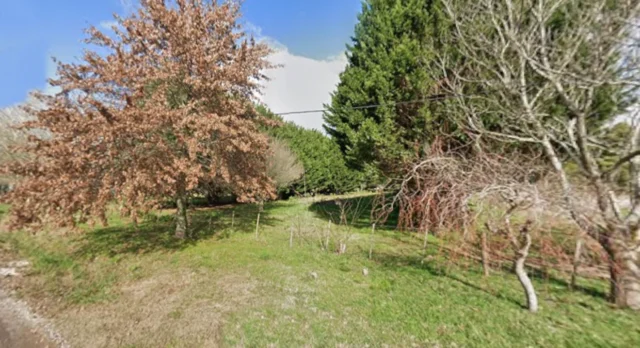 Lotes y terrenos en Venta — Los olivares