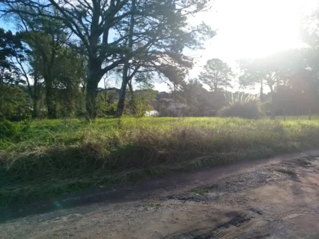 Lotes y terrenos en Venta — C. Pascual