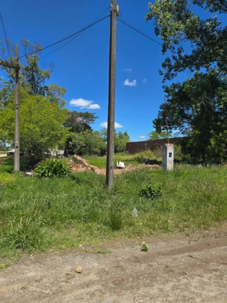 Lotes y terrenos en Venta — 35