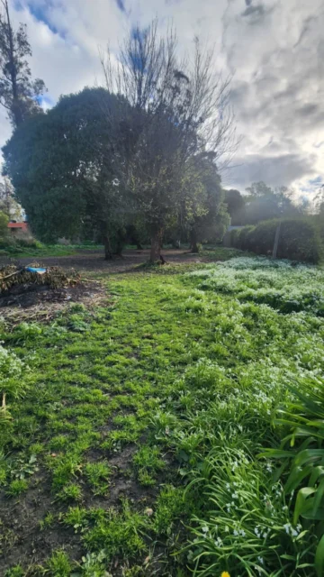 Lotes y terrenos en Venta — San Patricio y Ángel Gallardo