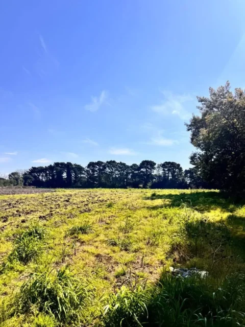 Lotes y terrenos en Venta — Sierra de los Padres