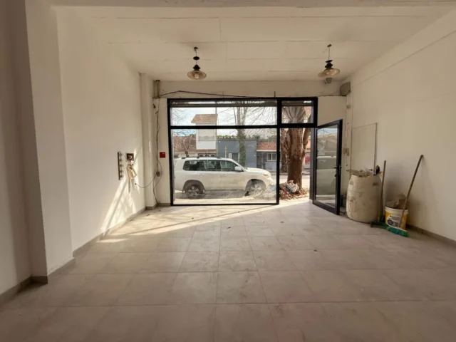 Locales en Venta — teodoro bronzini 1320
