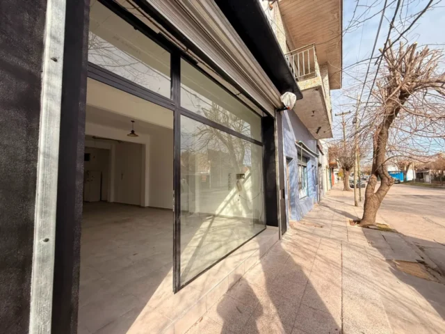 Locales en Alquiler — teodoro bronzini 1320