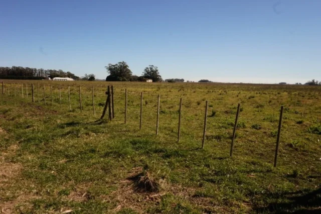 Campos y chacras en Venta — Q38R+84 Miramar