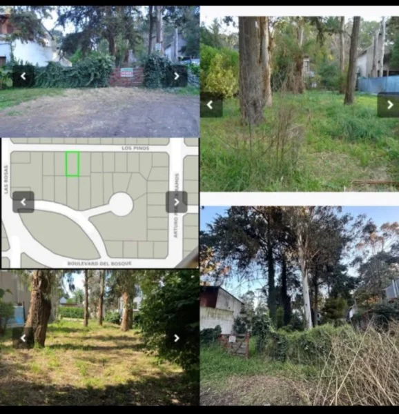 Lotes y terrenos en Venta — Los Pinos y Las Rosas