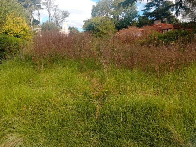 Lotes y terrenos en Venta — San Martin