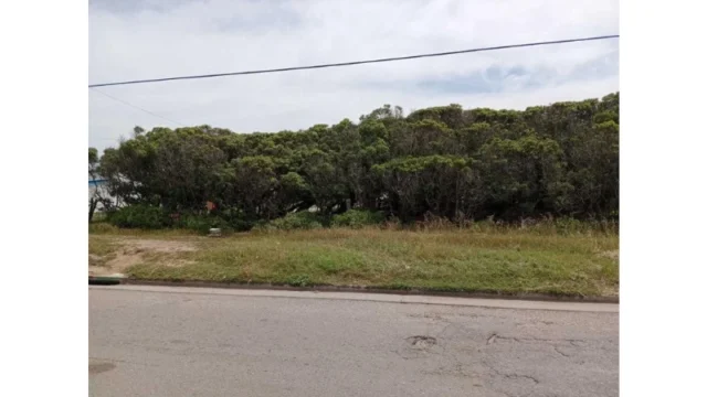 Lotes y terrenos en Venta — Av. Félix U.Camet y Beltran