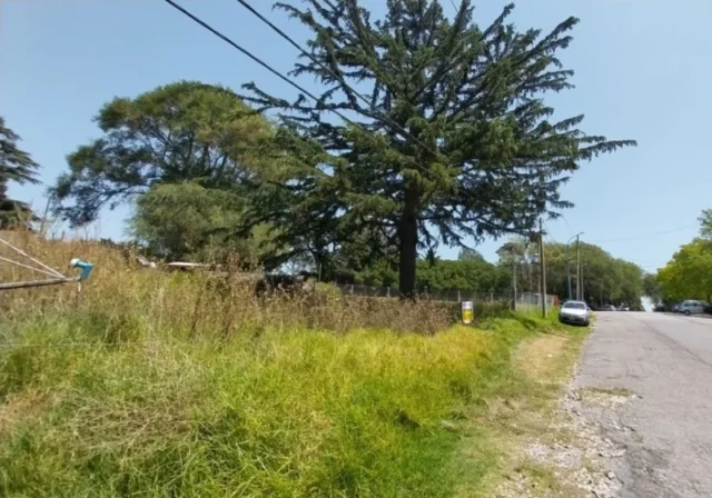 Lotes y terrenos en Venta — Av San Martin 0