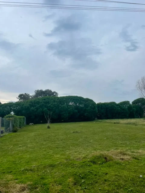 Lotes y terrenos en Venta — Calle 505 n°915