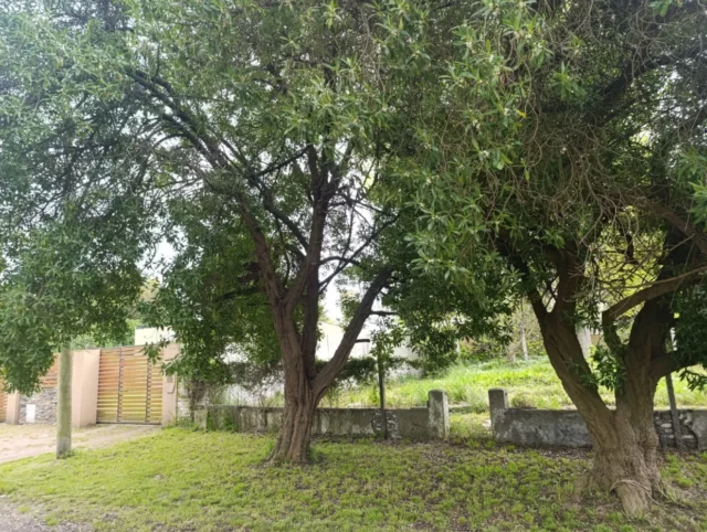 Lotes y terrenos en Venta — Agua blanca 3298