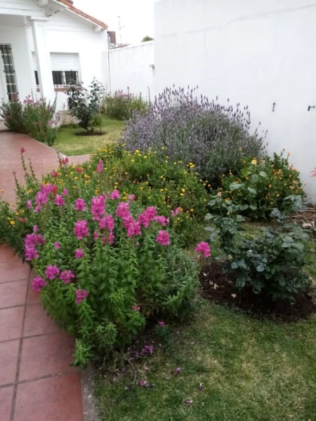Casas, chalets en Venta — ROCA  Nº 2267