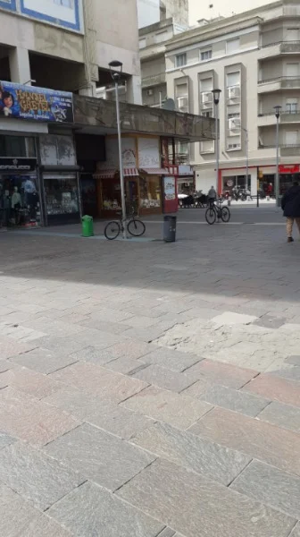 Locales en Venta — SAN MARTIN  AL 2300
