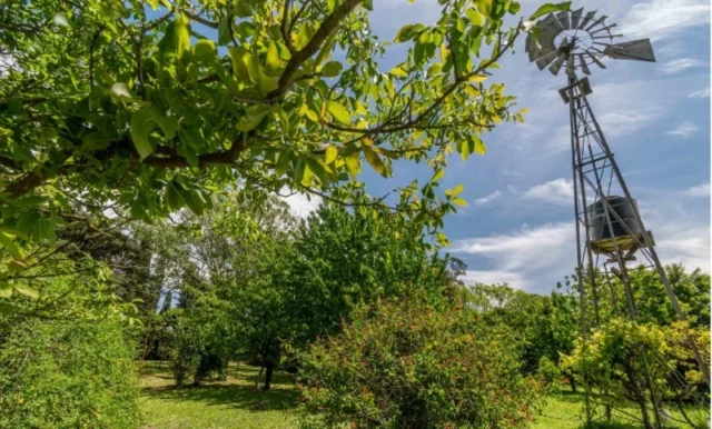 Campos y chacras en Venta — San Francisco Javier 500