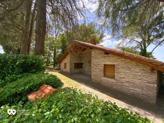 Lotes y terrenos en Venta — Cecilia S/N