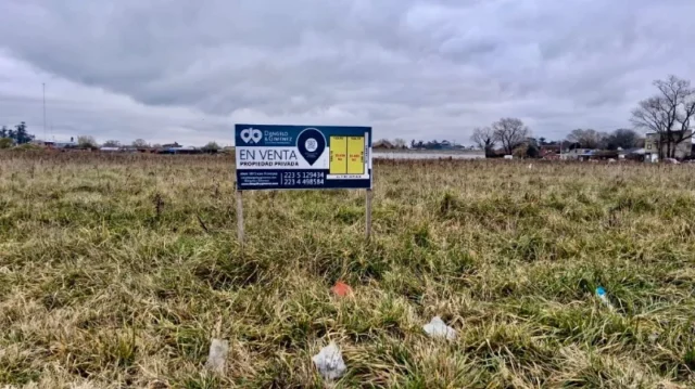 Lotes y terrenos en Venta — Av Fortunato de la Plaza