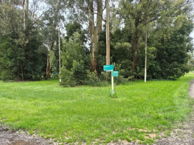 Lotes y terrenos en Venta — Sta. Ines