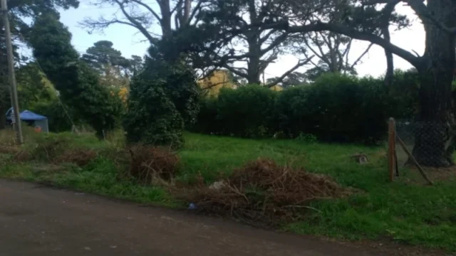 Lotes y terrenos en Venta — 493 1300