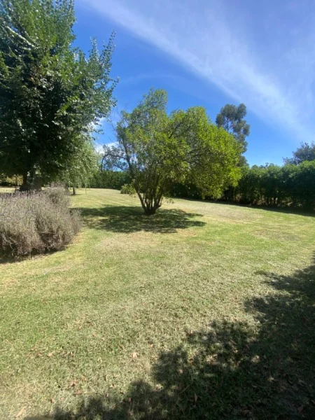 Lotes y terrenos en Venta — NUESTRA SEÑORA DE LA CONCEPCION 460