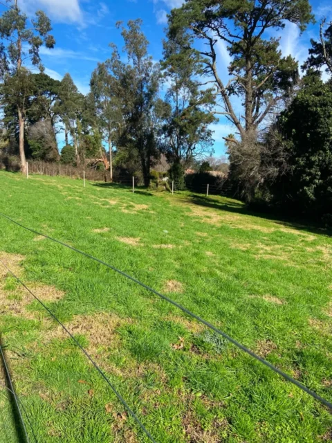 Lotes y terrenos en Venta — C. Félix 0