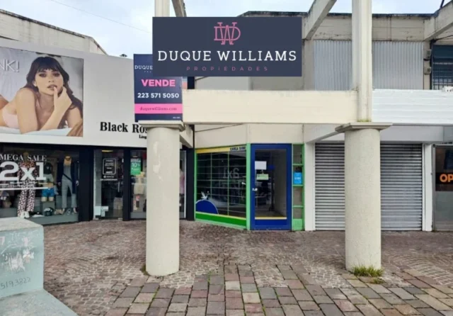 Locales en Venta — Güemes y Rawson