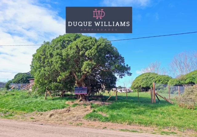 Lotes y terrenos en Venta — Madreperlas entre Las Focas y Las Orcas