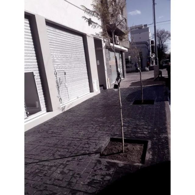 Locales en Venta — Moreno 3490