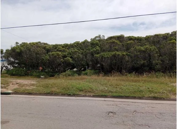 Lotes y terrenos en Venta — Beltran Y La Costa S/N