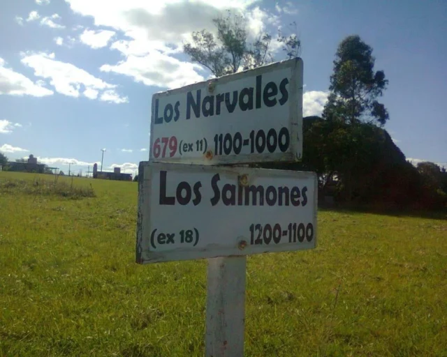 Lotes y terrenos en Venta — Los Narvales y Las Centollas