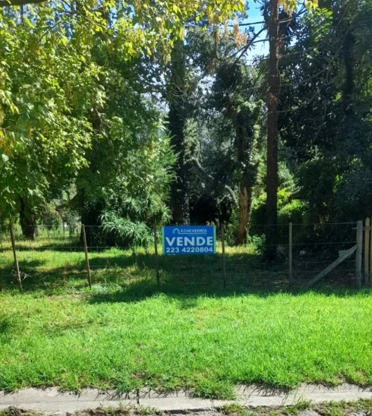 Lotes y terrenos en Venta — Brigida