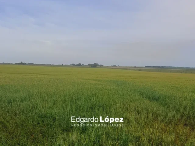 Campos y chacras en Venta — 3J44+XG Los Pinos