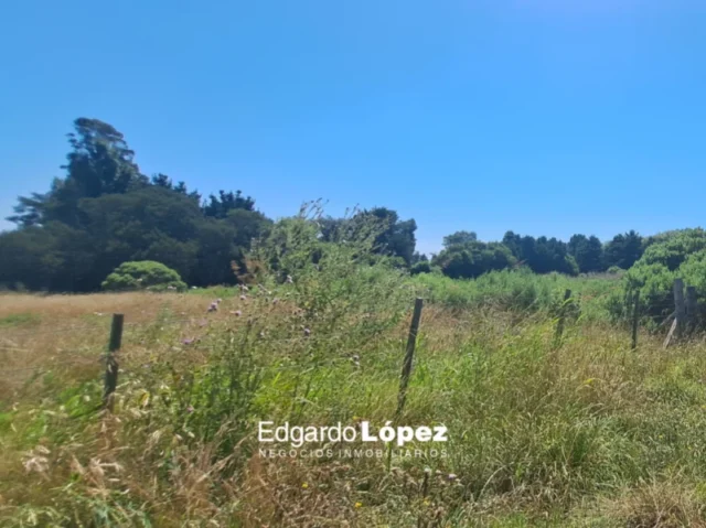 Lotes y terrenos en Venta — 36XC+WC La Gloria de la Peregrina