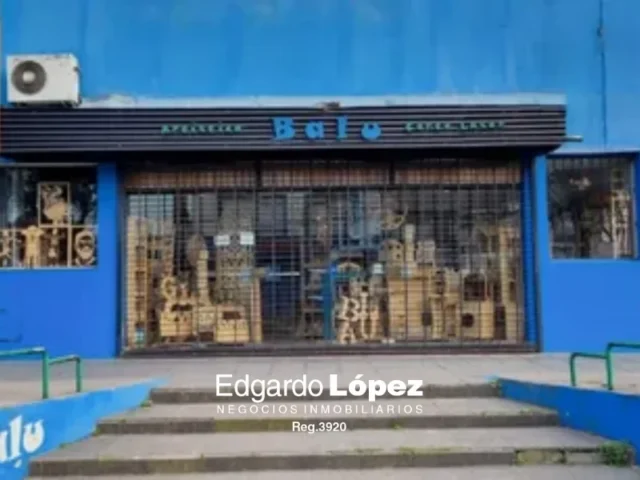 Locales en Venta — Av. Jacinto Peralta Ramos 2119