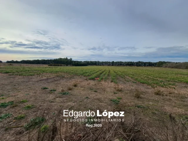 Campos y chacras en Venta — 6RGG+6P Balcarce